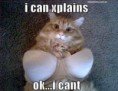 /album/humores-pics-/cat-meme-cute-original-jpg/