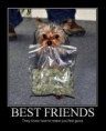 /album/humores-pics-/demotivating-pictures-demotivational-posters-funny-drugs-marijuana-jpg/